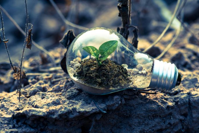 ISO 14001 for Small Businesses