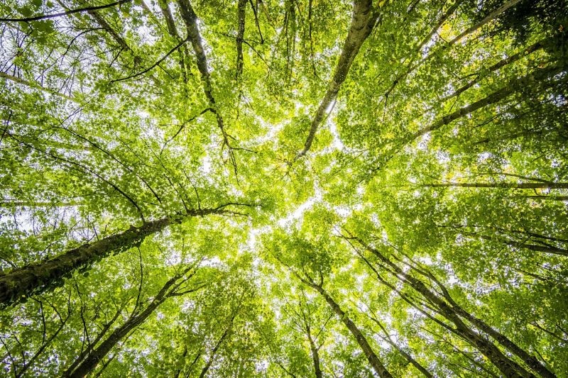 ISO 14001