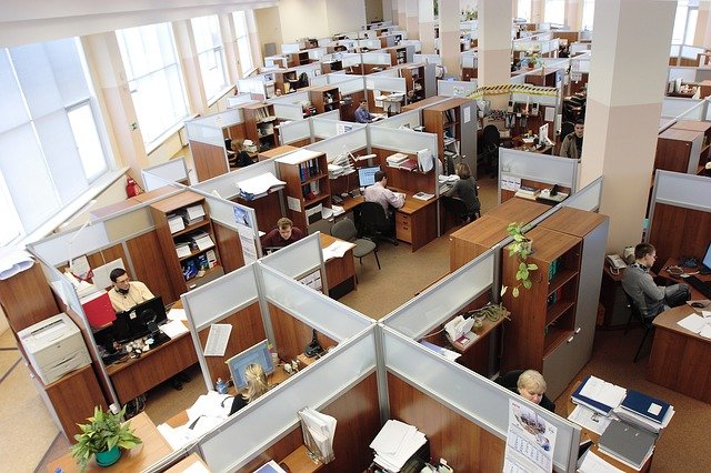 Workers in office cubicles